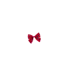 Barrette noeud papillon pompons cerise